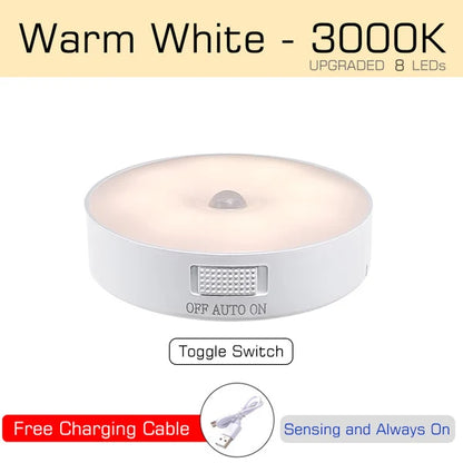 USB Rechargeable Motion Sensor LED Night Light