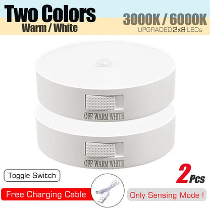 USB Rechargeable Motion Sensor LED Night Light
