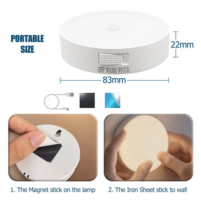 USB Rechargeable Motion Sensor LED Night Light